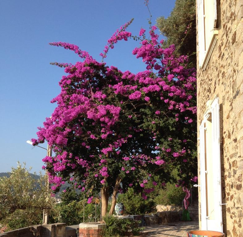 Hotel Castel Pierre Lisse Hyères Exterior foto